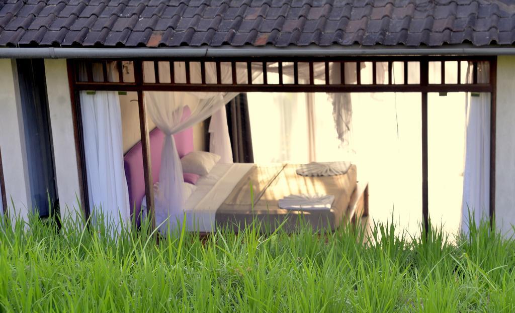 Prashanti Bali Ubud  Phòng bức ảnh