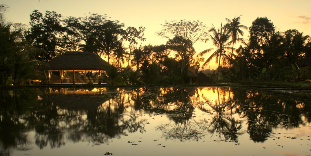 Prashanti Bali Ubud  Ngoại thất bức ảnh